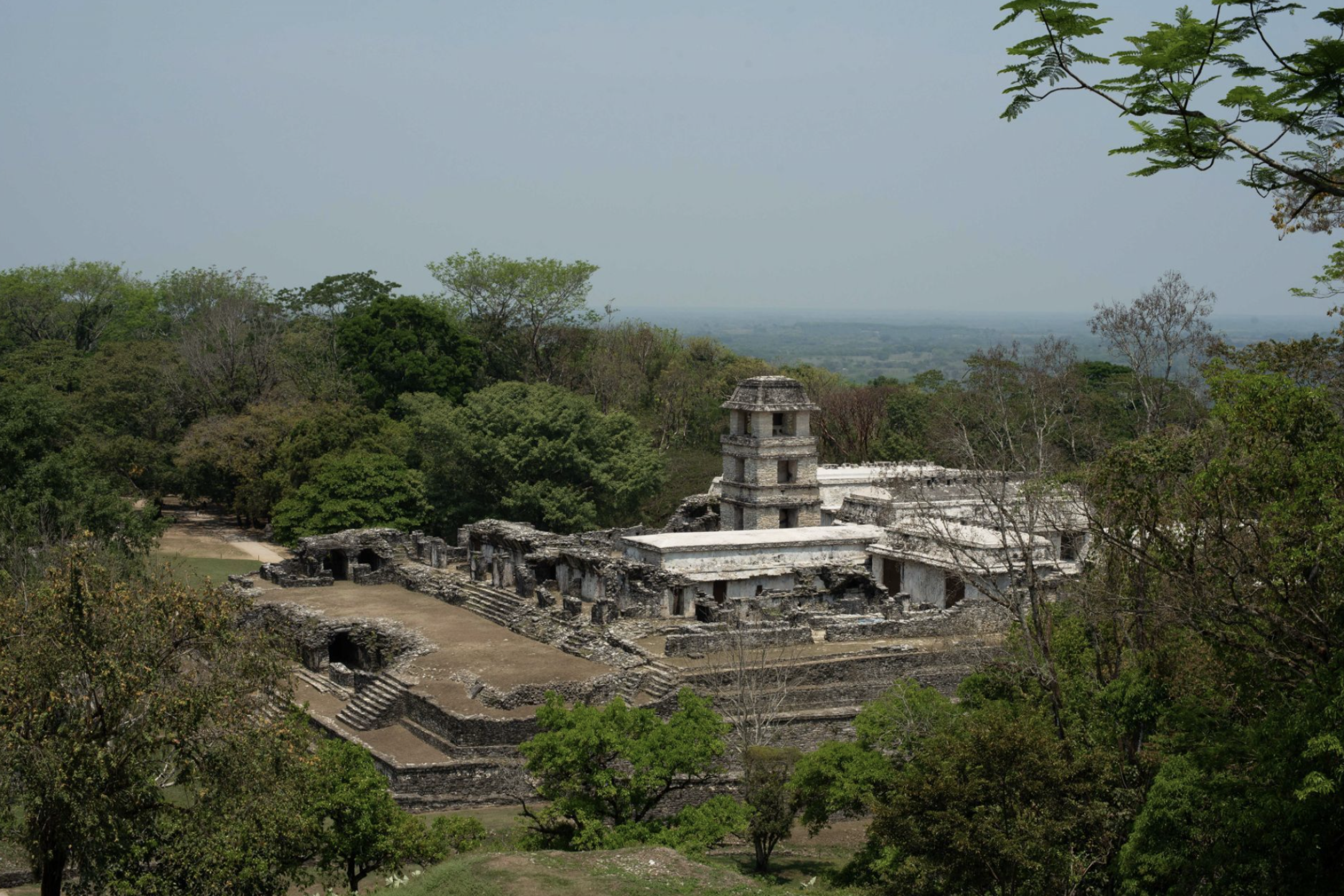 Selva en Chiapas