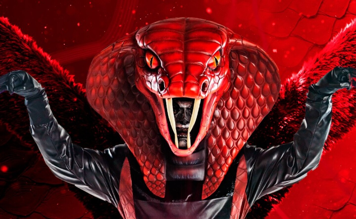 dr_veneno_quien_es_la_mascara_salvador_zerboni