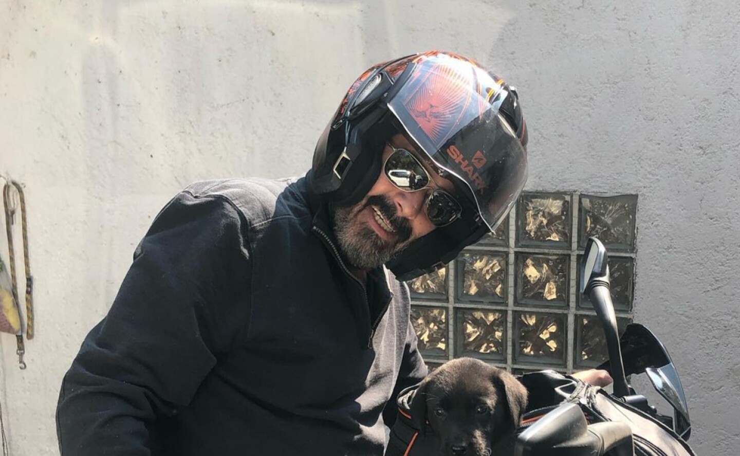 pato_levy_talina_fernandez_