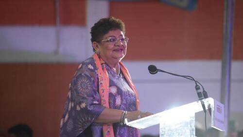 ERNESTINA_GODOY_SENADO