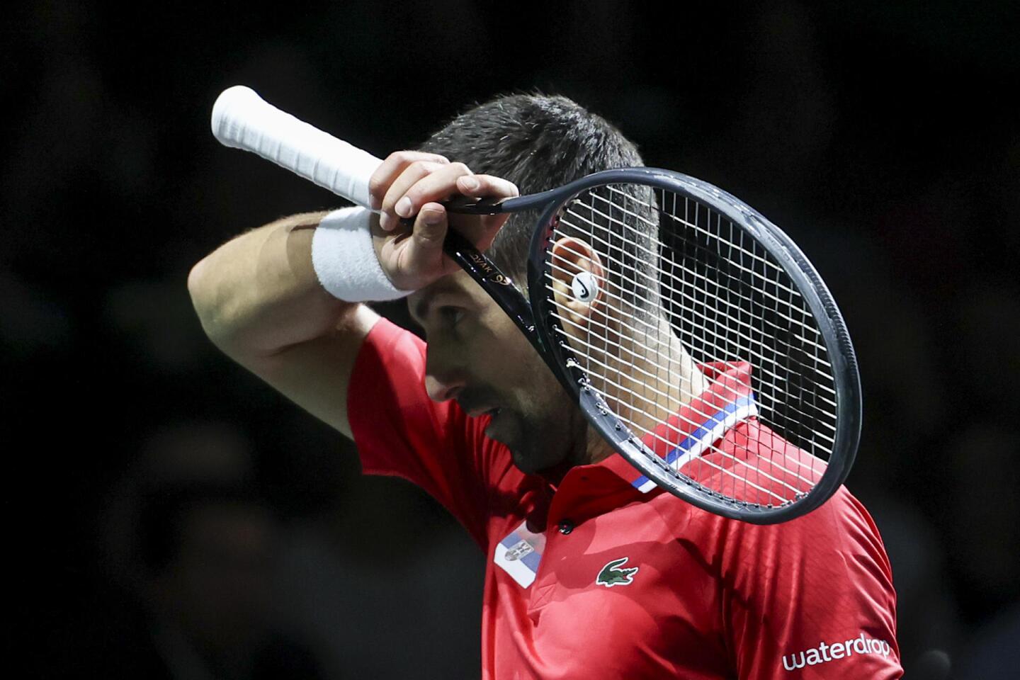 Semifinales Copa Davis