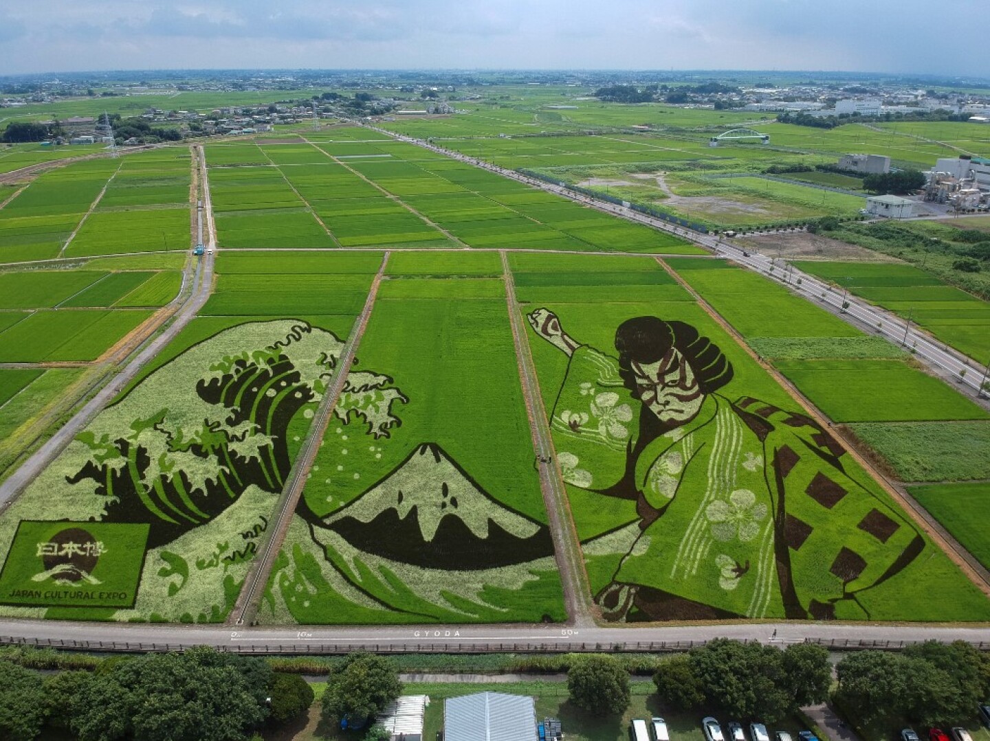 JAPAN-AGRICULTURE-ARTS