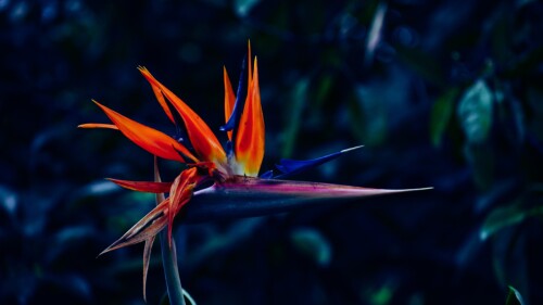 yael-gonzalez-LfckupRq3Ys-unsplash (1)