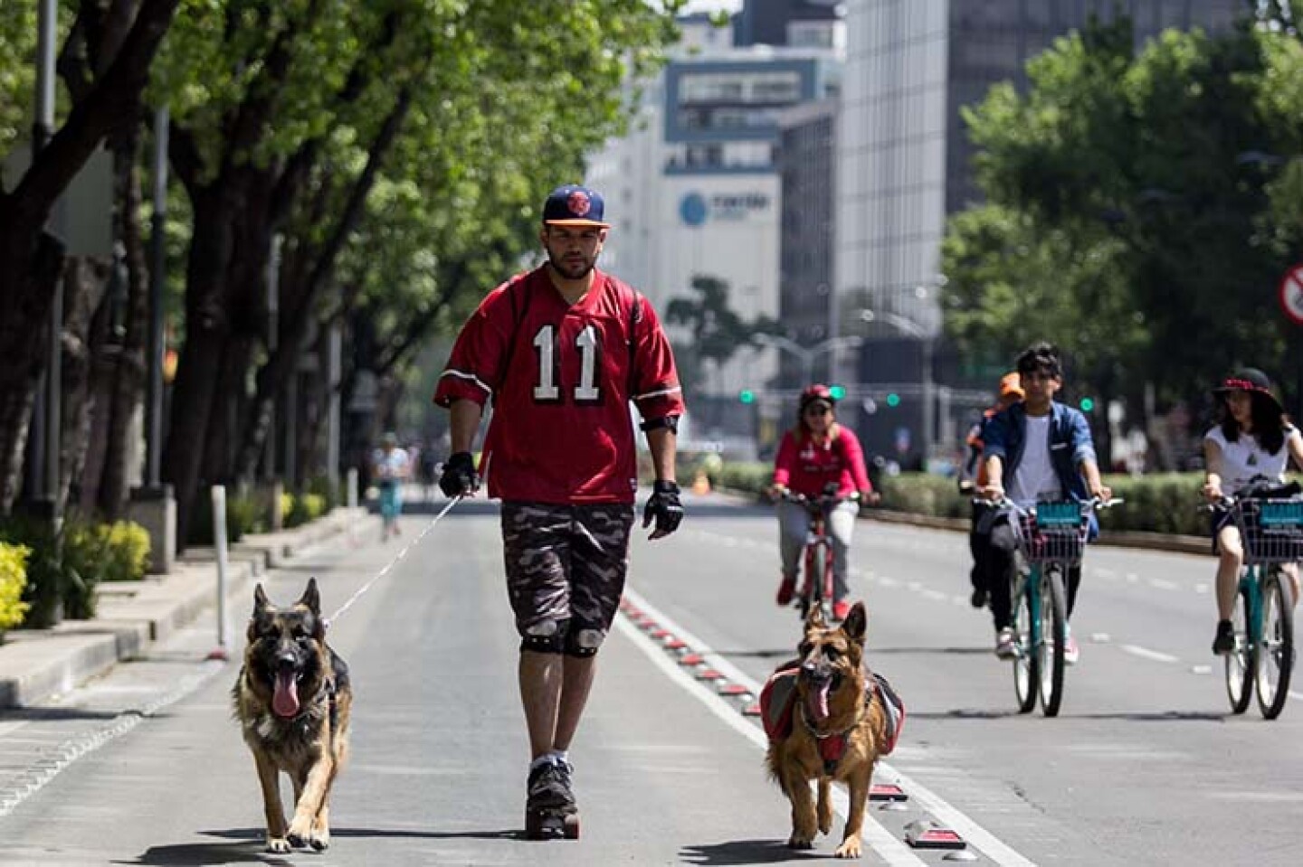 CIUDAD DE MÉXIOC, 18MARZO2018.- Jalados por sus perro un joven se desliza sobre Paseo de la Reforma durante el paseo dominical Muévete en Bici. FOTO: GALO CAÑAS /CUARTOSCURO.COM