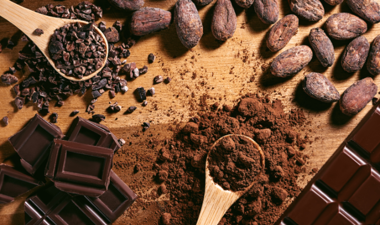 cacao y chocolate en México