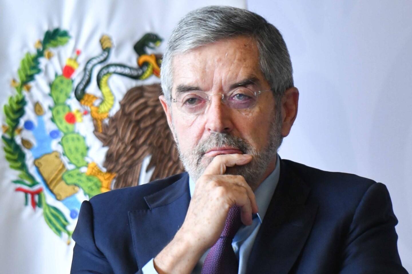Juan Ramón de la Fuente.jpeg