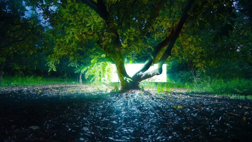 terricola_galeria_l_vida_terrestre_