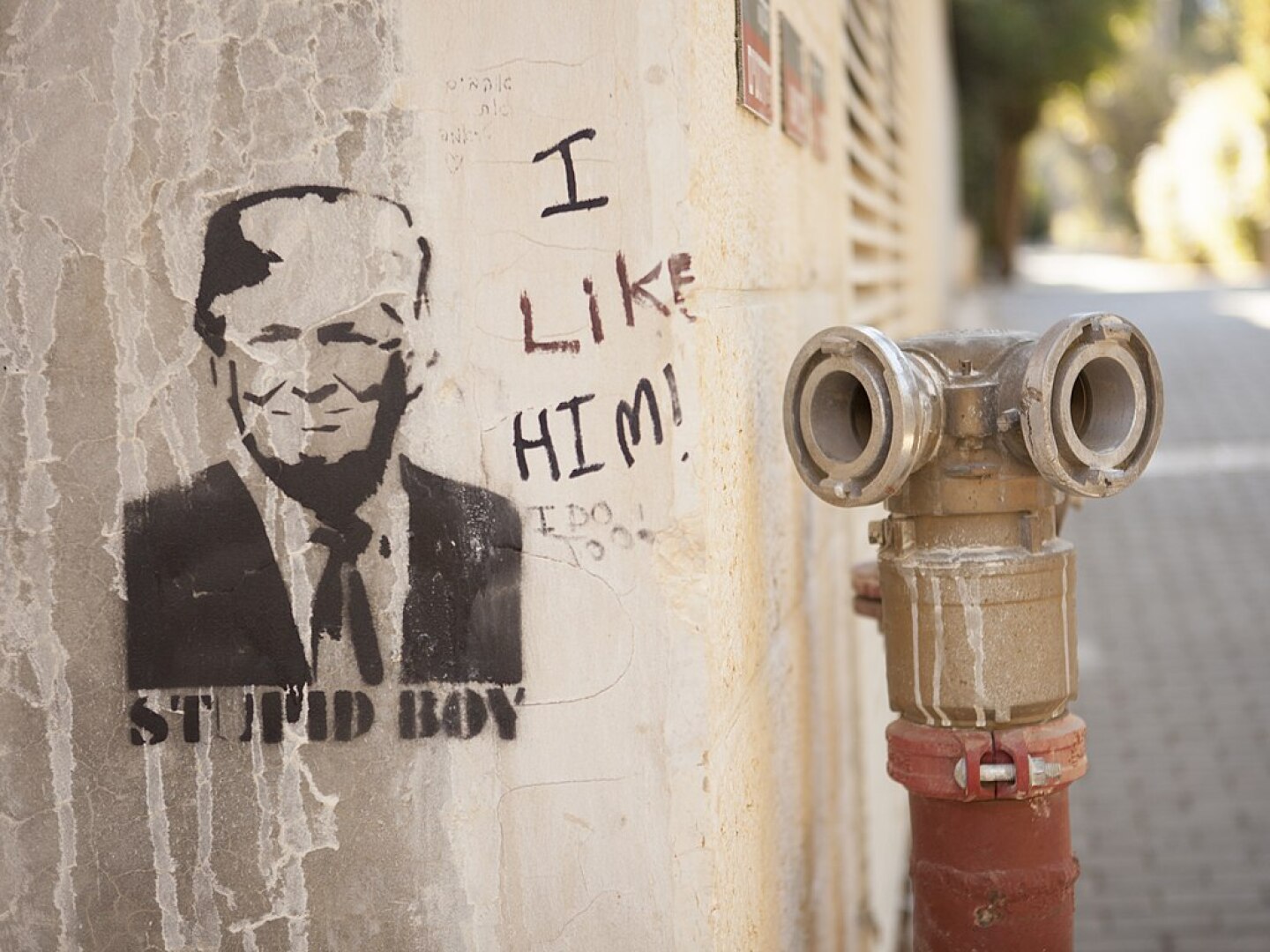 1024px-Donald_Trump_Graffiti_(44612030341)