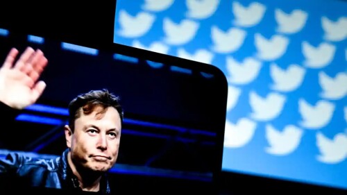 elon musk llama arremete contra mark zuckerberg