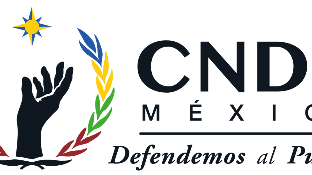 La Comisión Nacional de los Derechos Humanos confirma la necesidad de implementar alternativas a la detención migratoria.