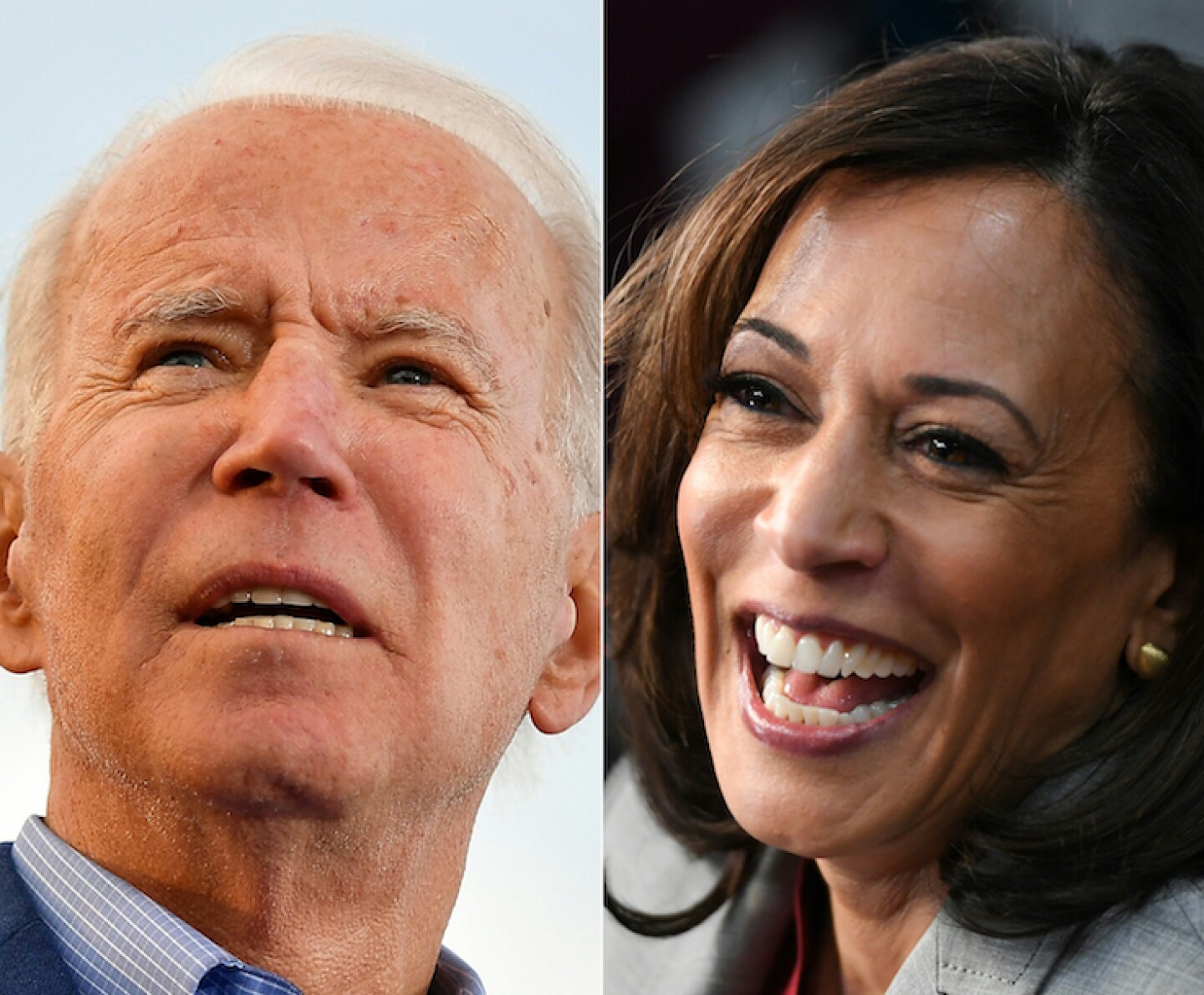 FILES-COMBO-US-POLITICS-VOTE-DEMOCRATS-BIDEN-HARRIS