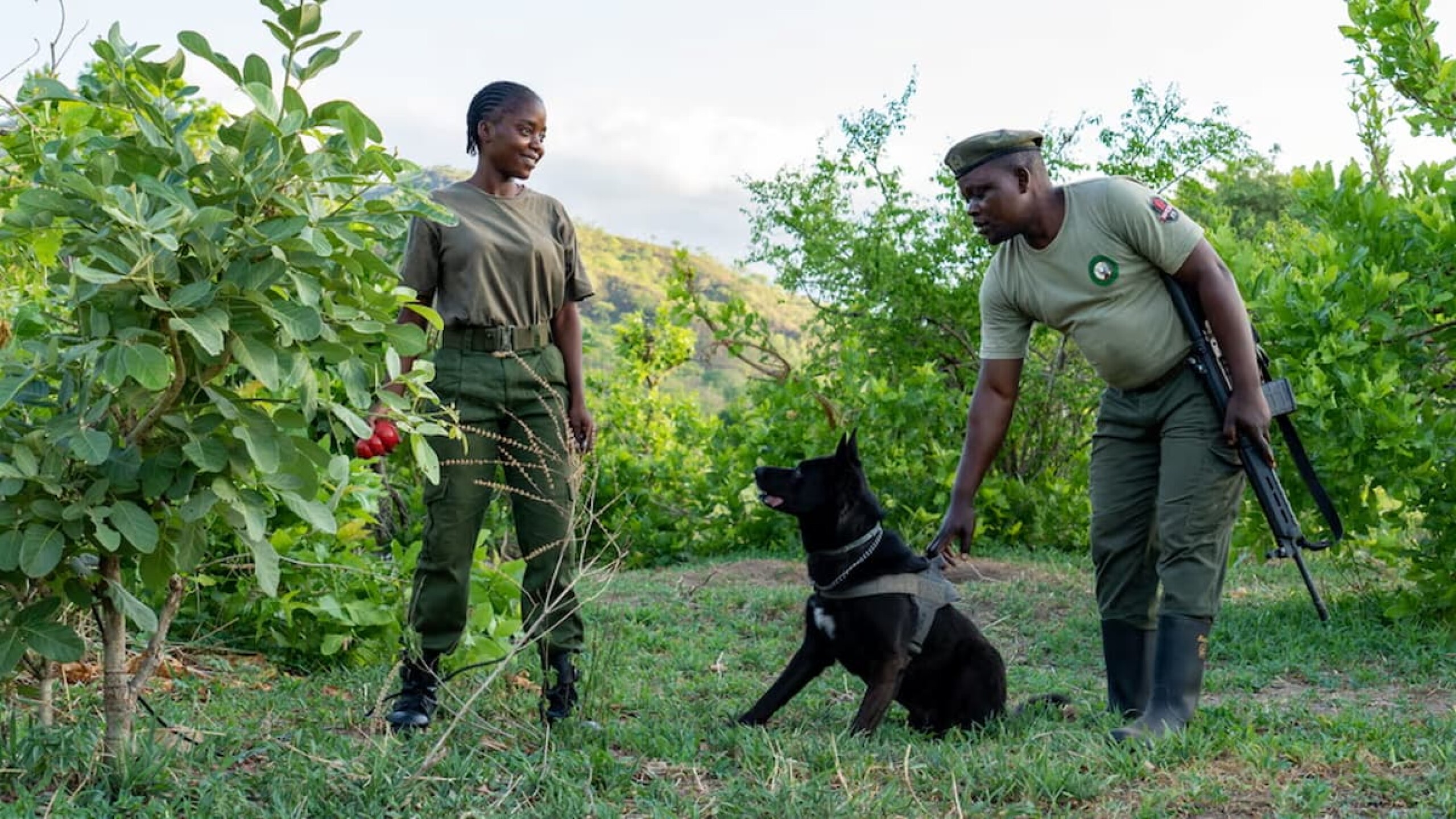 Zambia-4