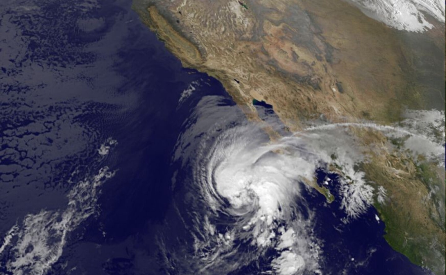 tormenta-tropical-olaf-trayectoria