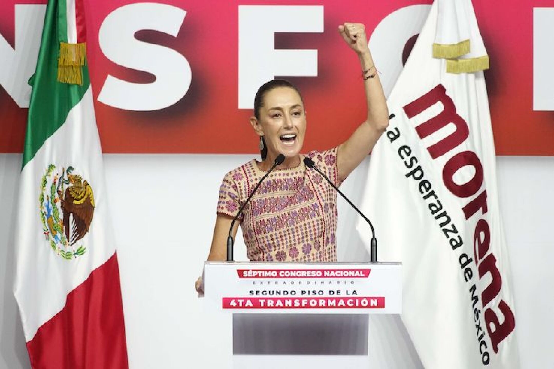 Séptimo Consejo Extraordinario Nacional Morena-12