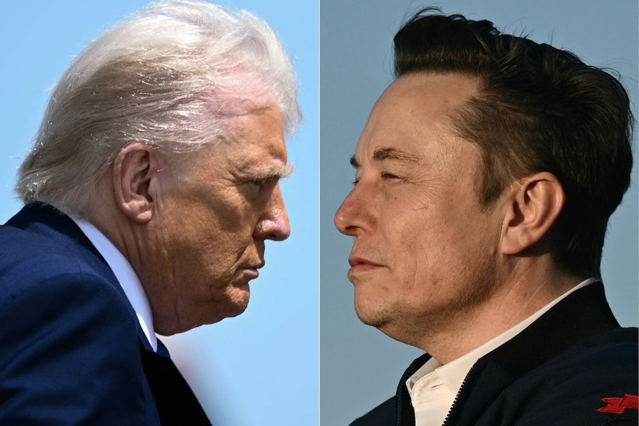 Elon Musk y Donald Trump