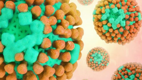que_Es_como_sE_contagia_influenza
