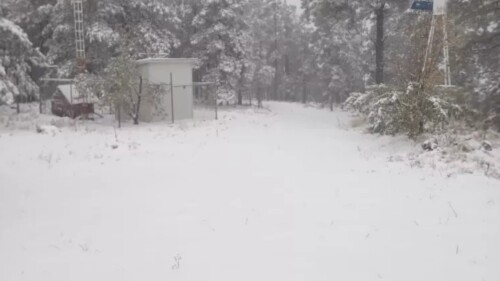 Tormenta invernal Chihuahua