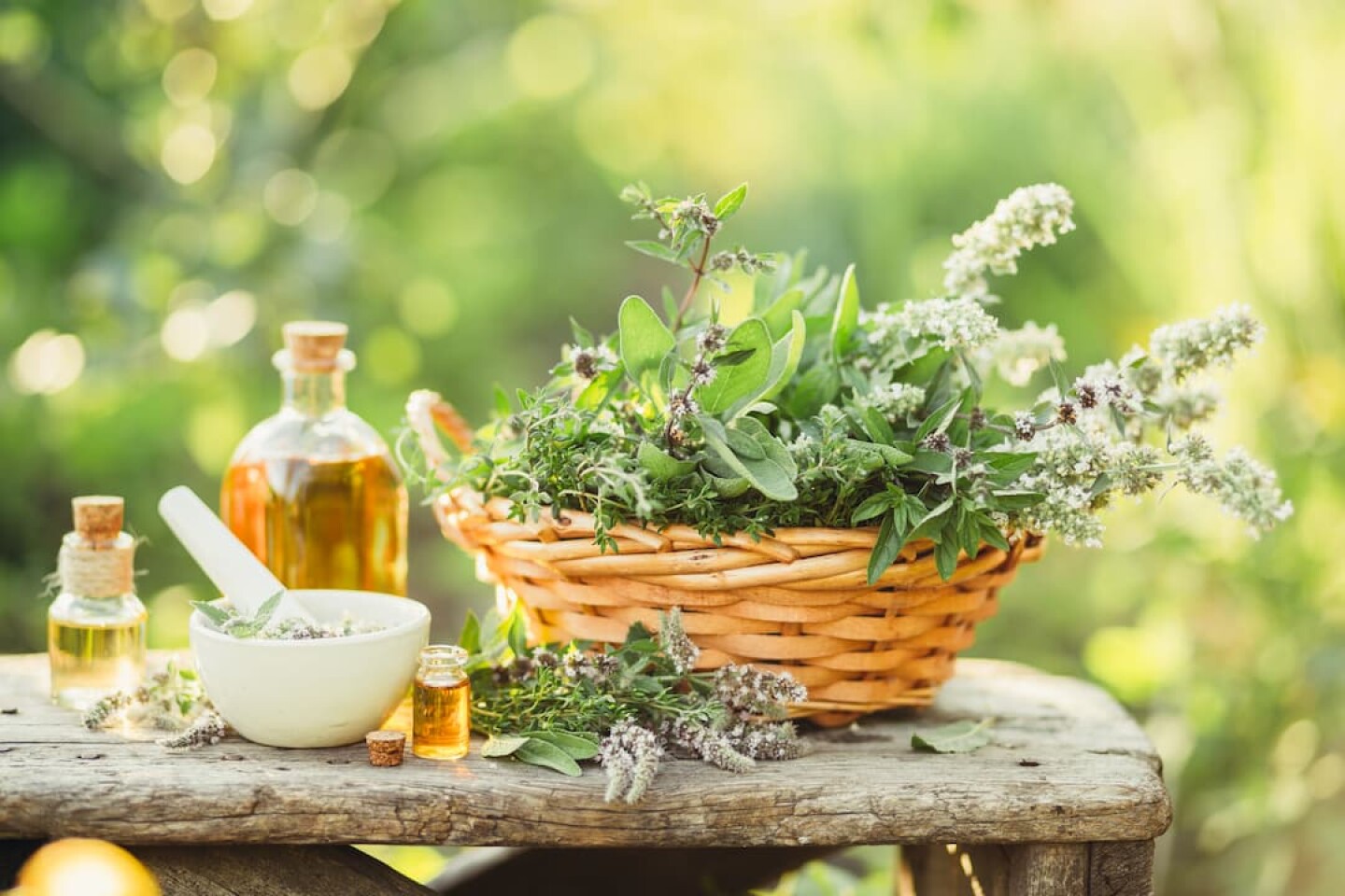 medicinal-plants-in-the-basket-2023-11-27-05-08-50-utc (1)