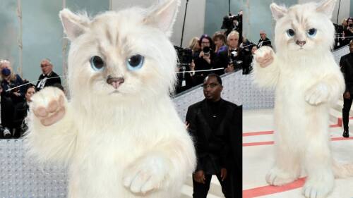 jared leto como gato en la met gala