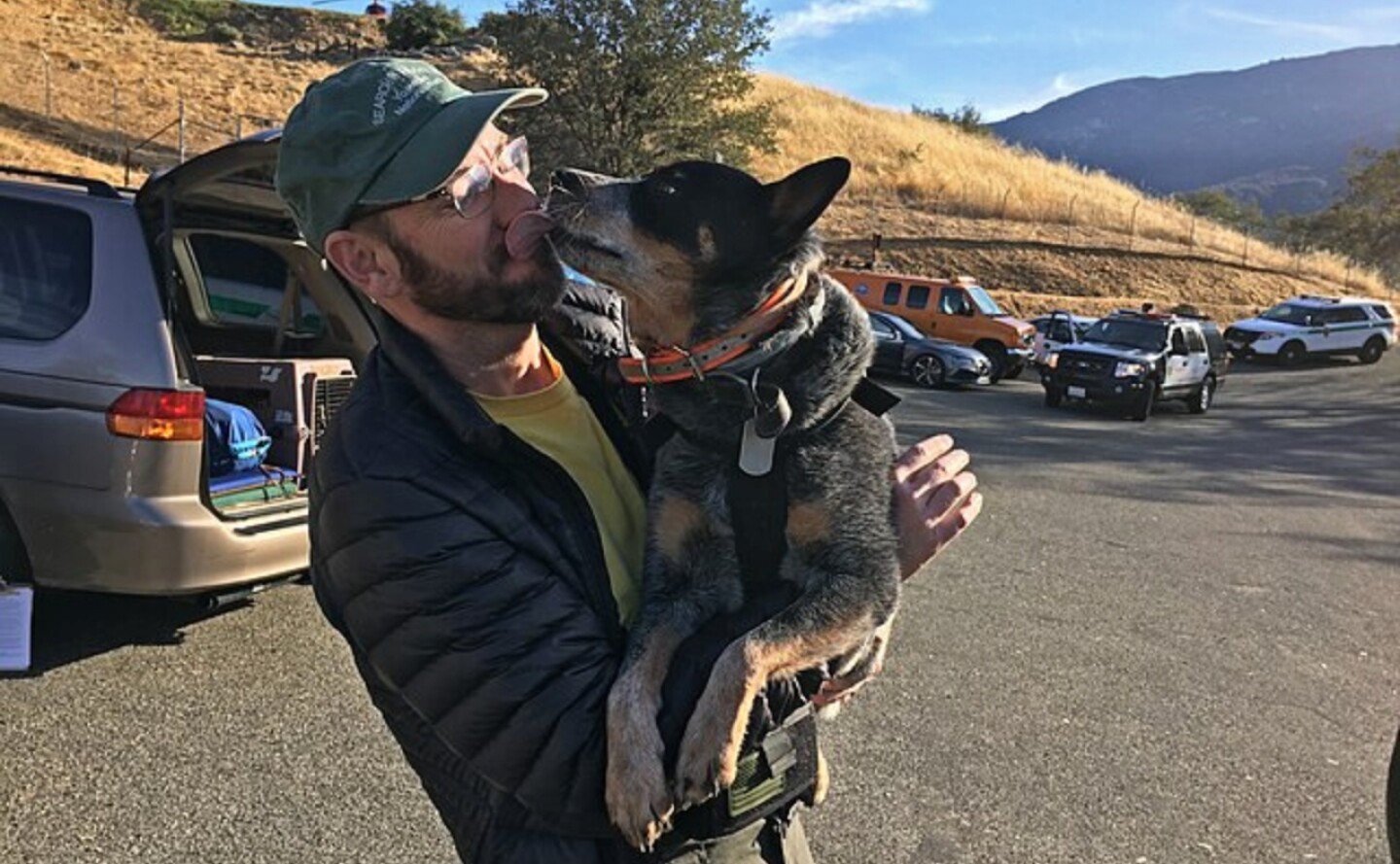 dueños y perros.jpg