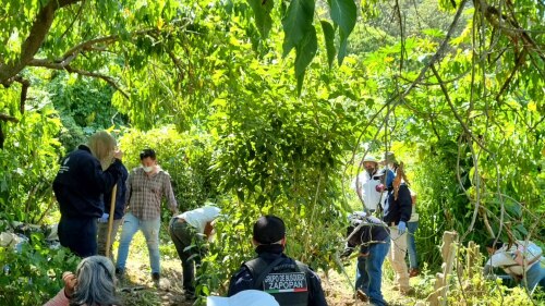 fosa clandestina restos humanos