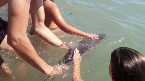 Captura de pantalla 2017-08-16 a las 7.08.12 p.m.