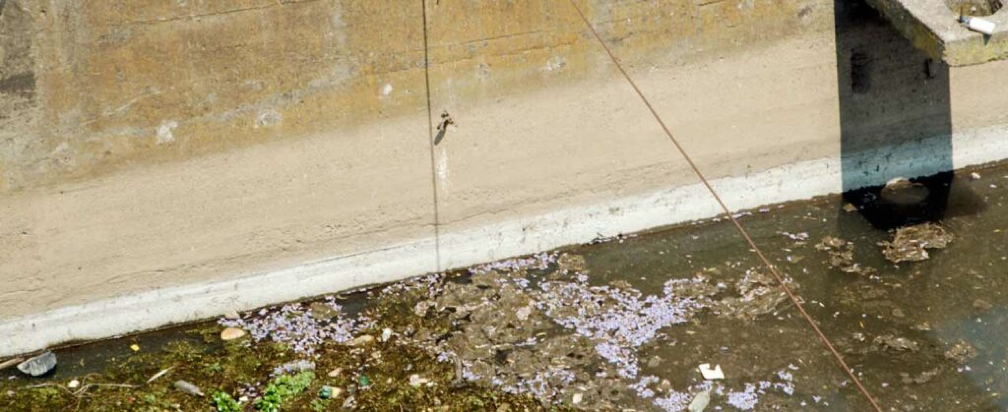 Presa-Tuxpan-5-1024x419