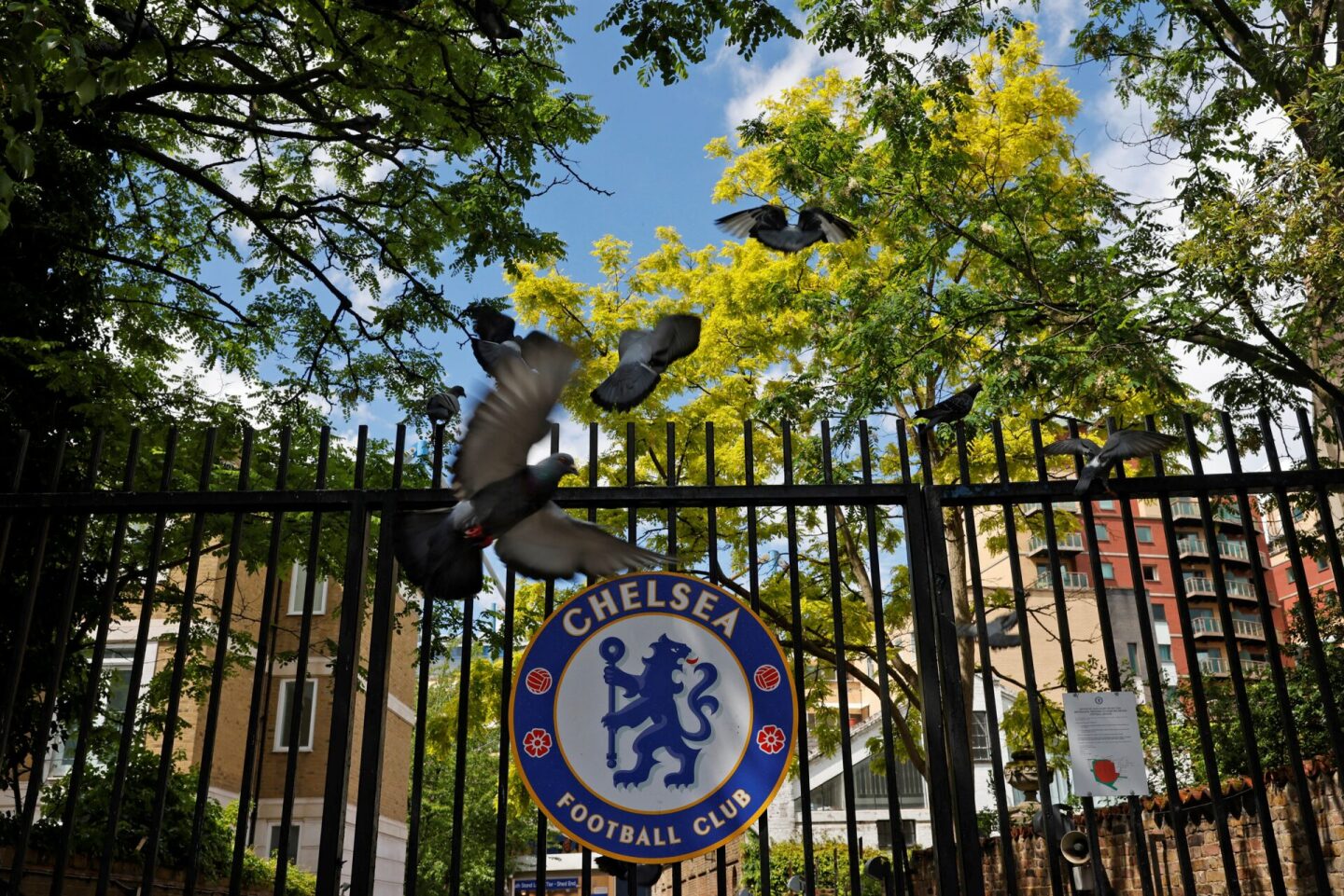Chelsea