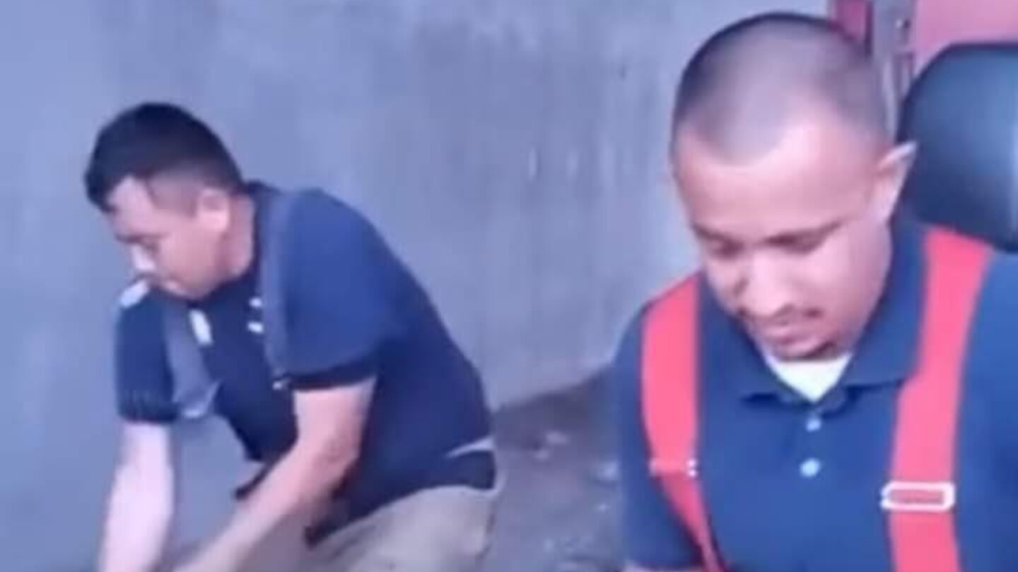 perritos-asesinados-monclova-coahuila