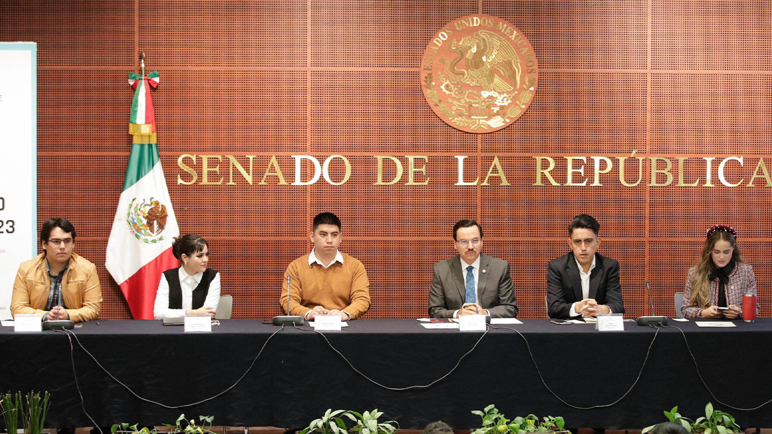jovenes-reducen-edad-minima-cargos-publicos-elecciones