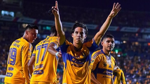 tigres-invicto.jpg