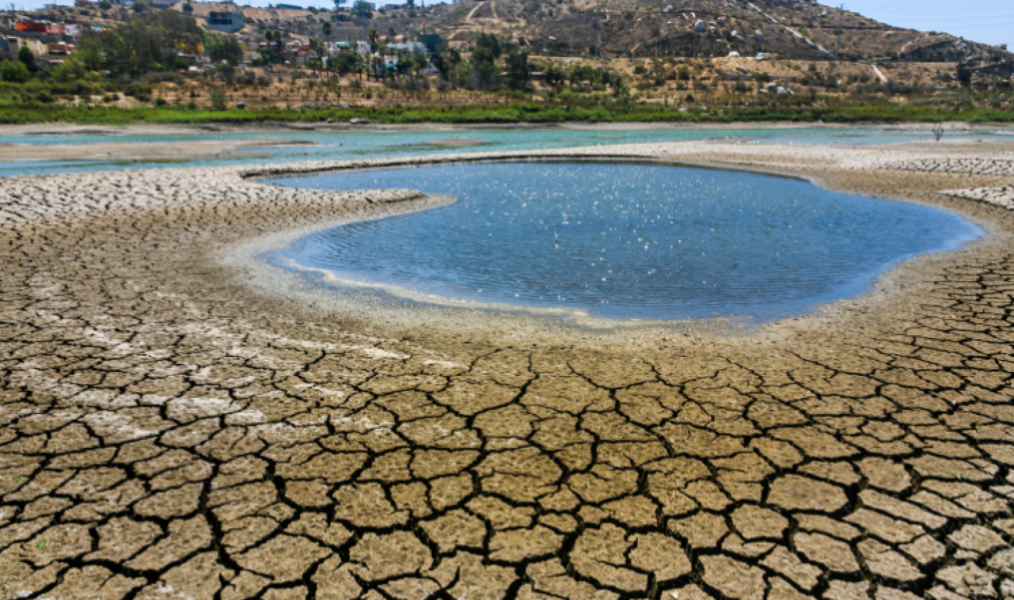 emergencia climática