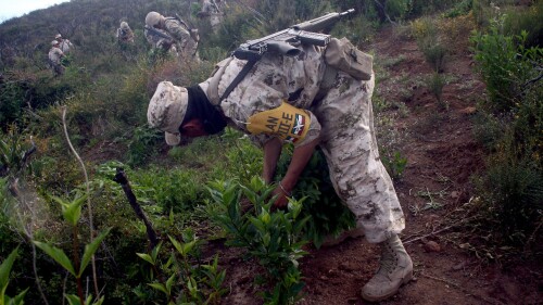 carteles-bitcoin-onu