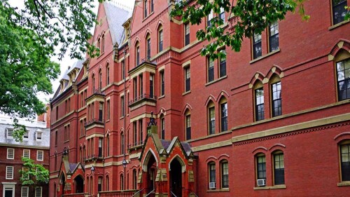 harvard