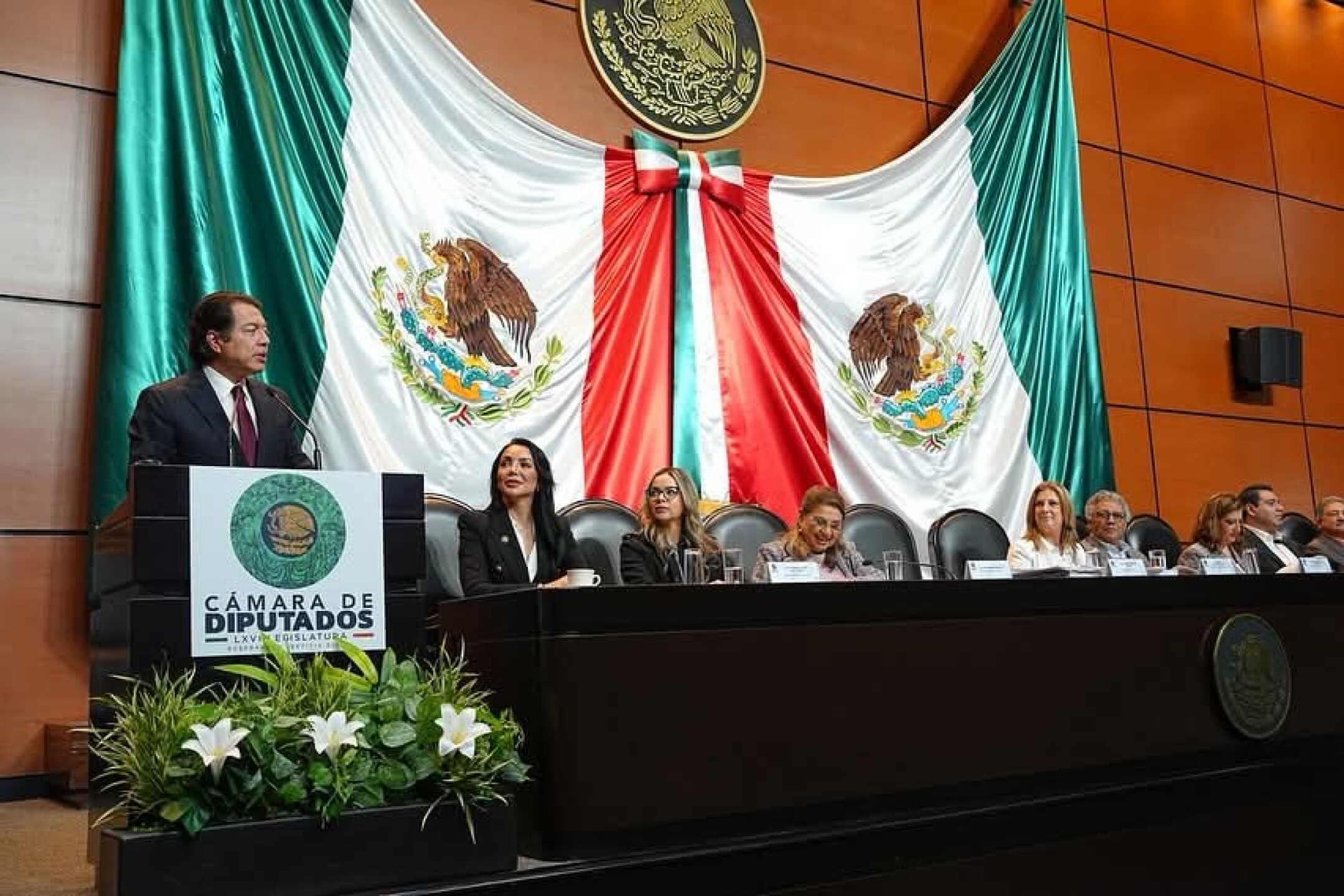 Mario Delgado en comparecencia.jpg