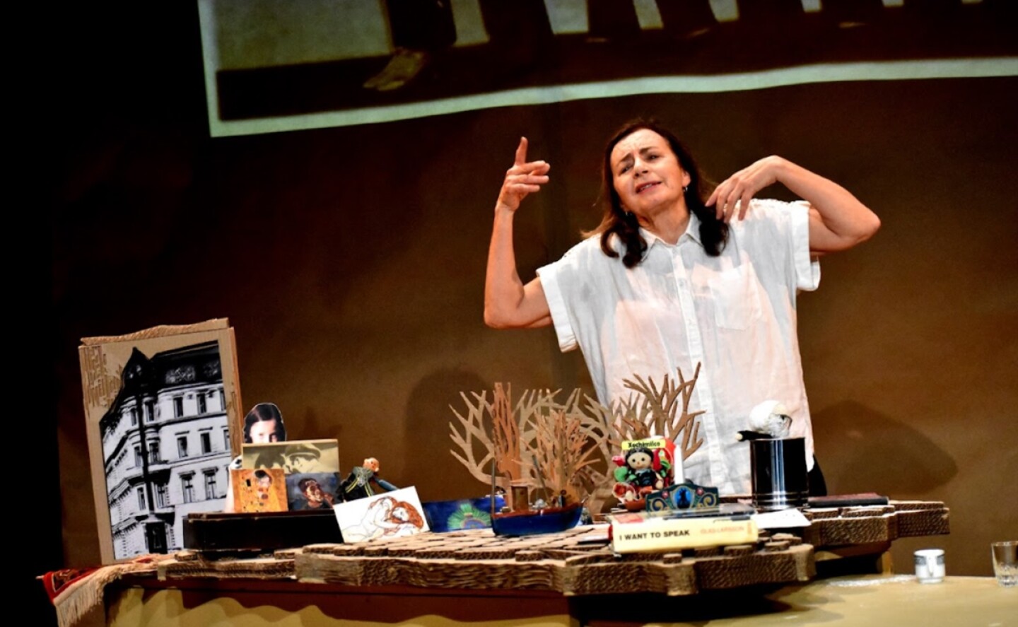 muestra_internacional_teatro_veronica_langer