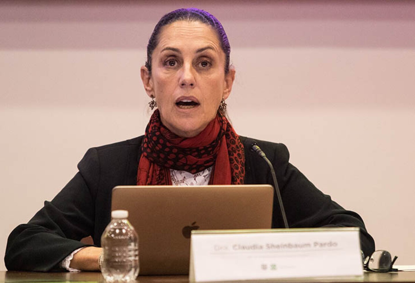 Claudia Sheinbaum Pardo, jefa del Gobierno