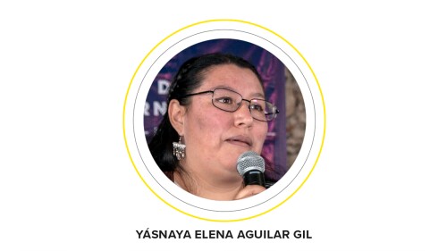 Yasnaya Elena Aguilar Gil - ESPECIAL-SANAR-MEXICO