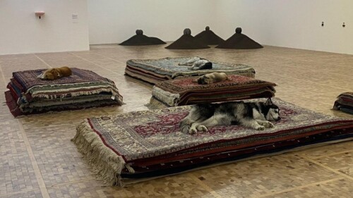 museo_rufino_tamayo_nina_beier_performance_