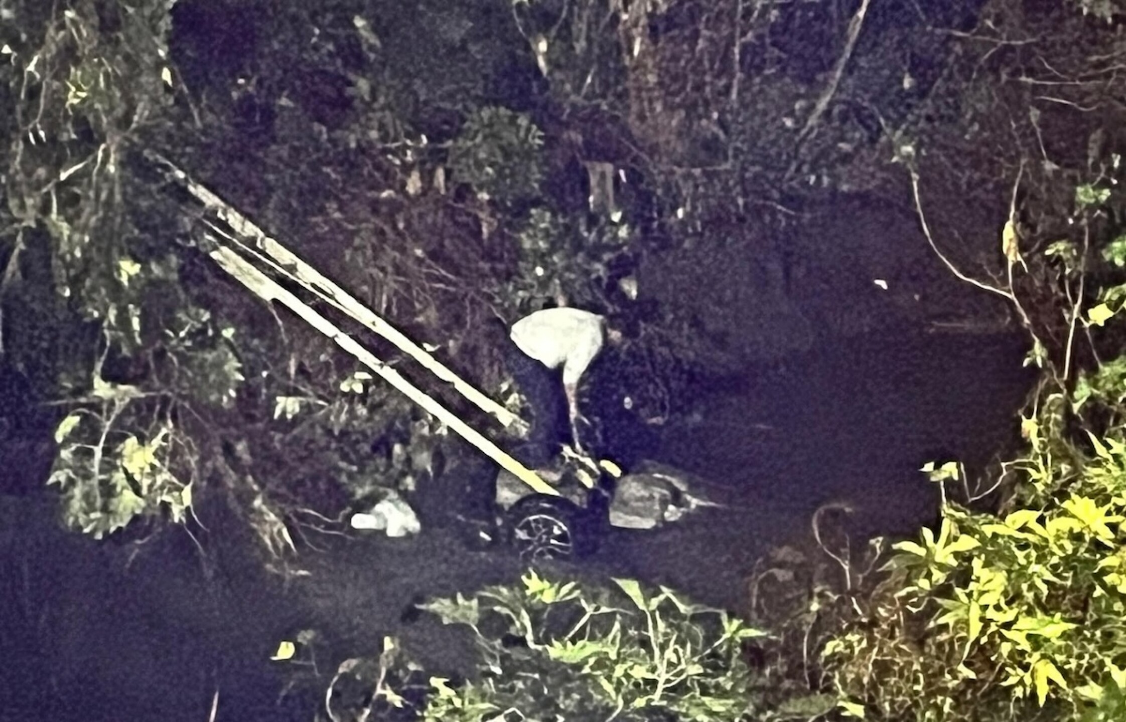 accidente_estudiantes_fes_cuatitlan.jpg