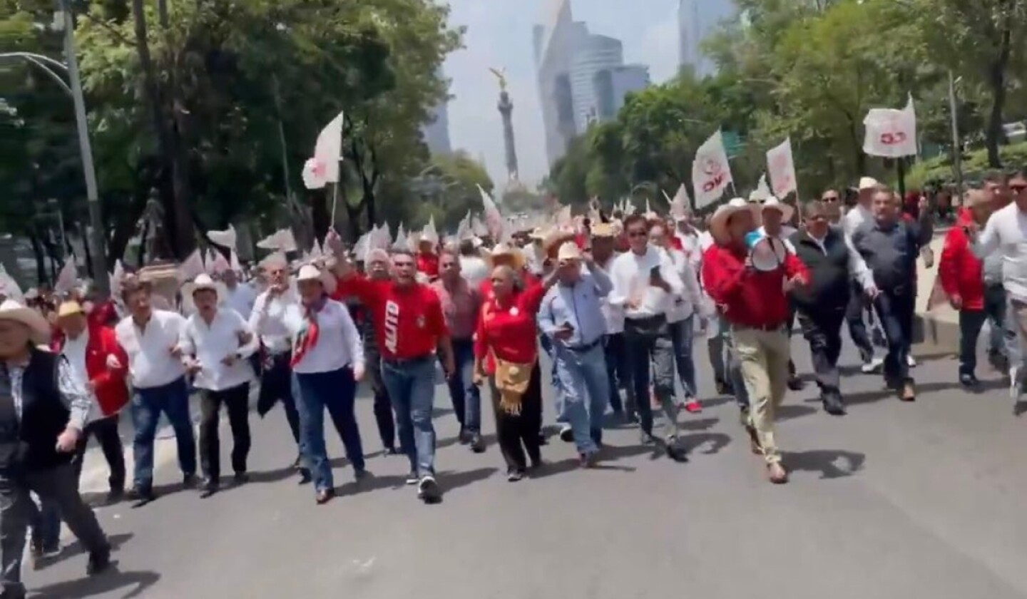 pri_nacional_02.jpg