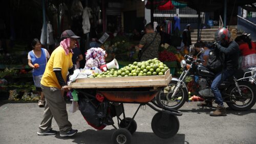 Economista señala que la "mayoría" de alimentos llegan a El Salvador "libres de aranceles"