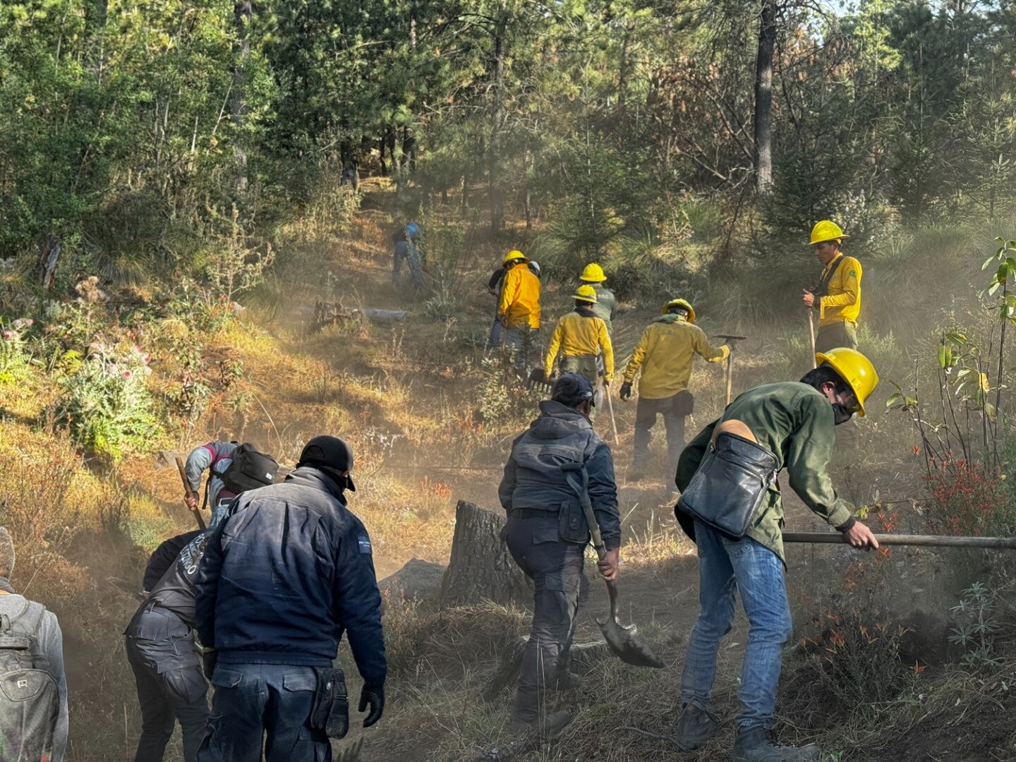 Especial - Incendios forestales, Edomex.jpg