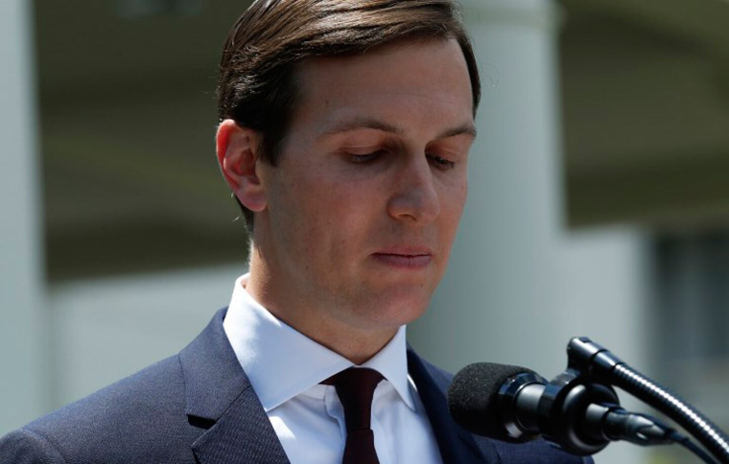 kushner