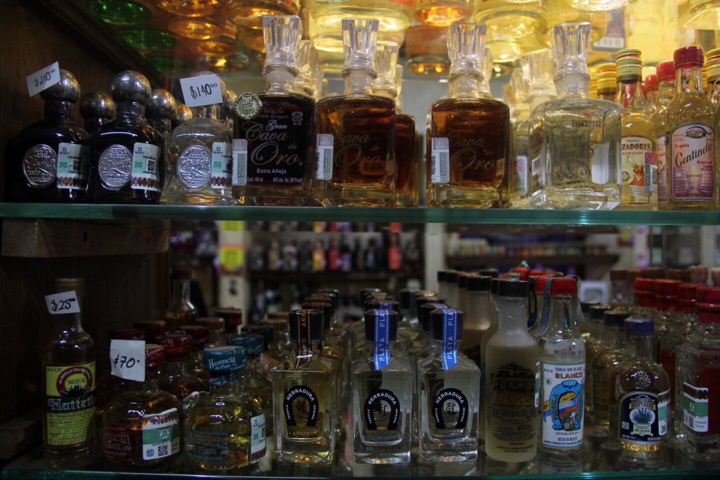 Producción y exportación de tequila registran aumento récord