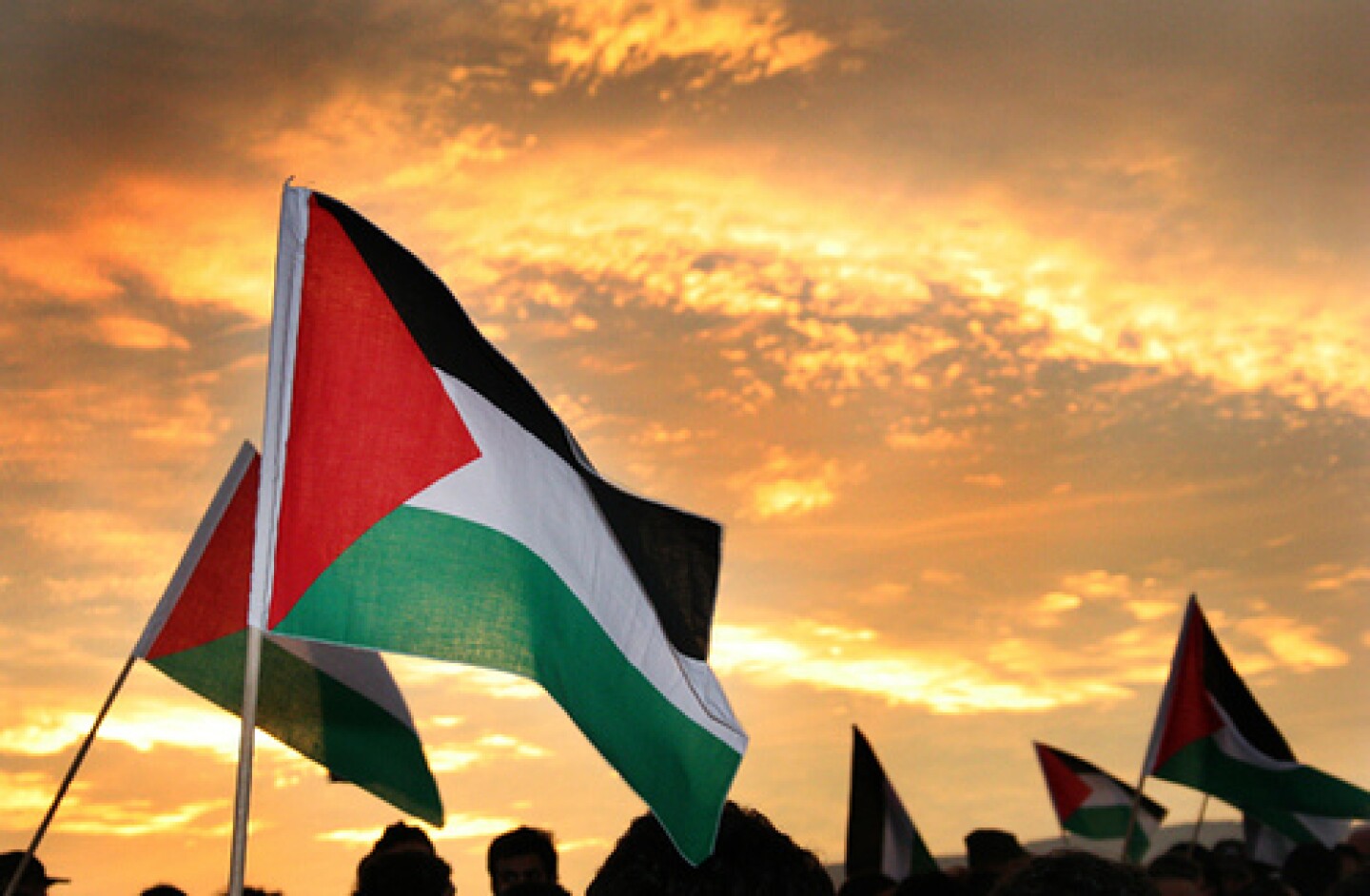 PalestinaFlags