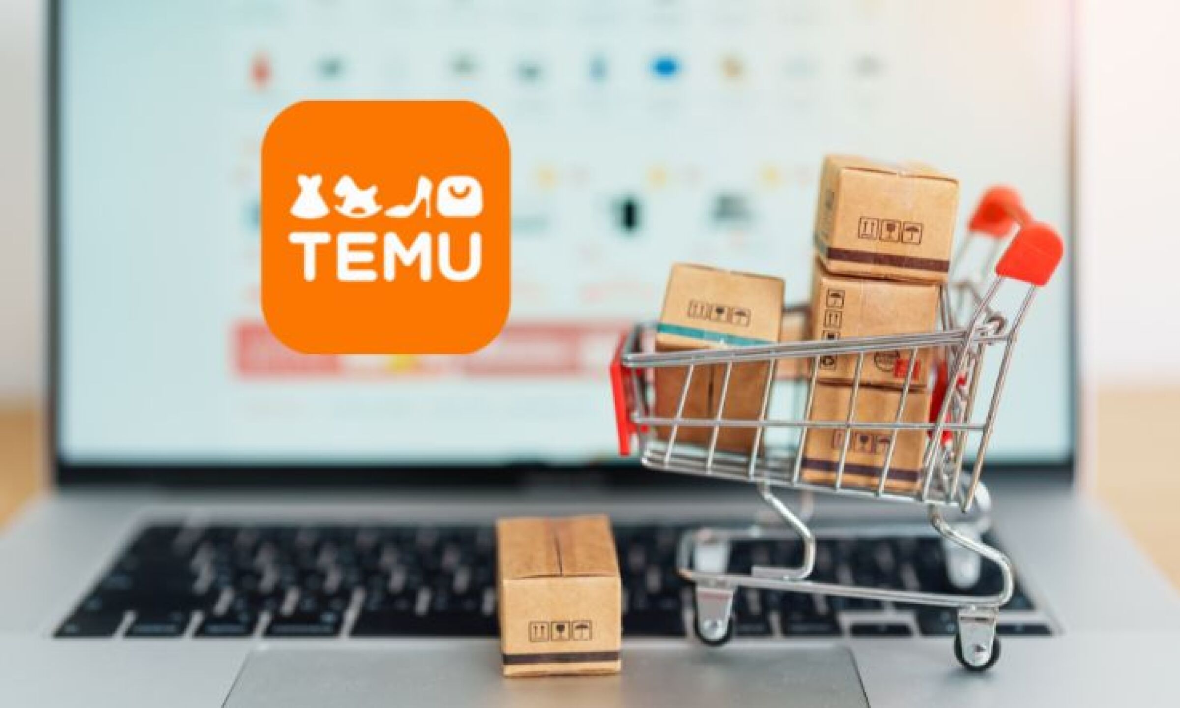 Temu productos ilegales.jpg