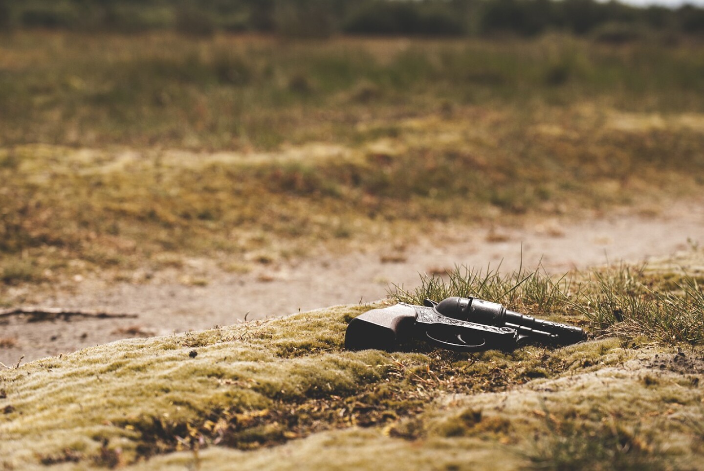 gun-801836_1280