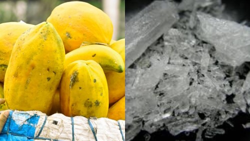 metanfetamina en papayas.jpg