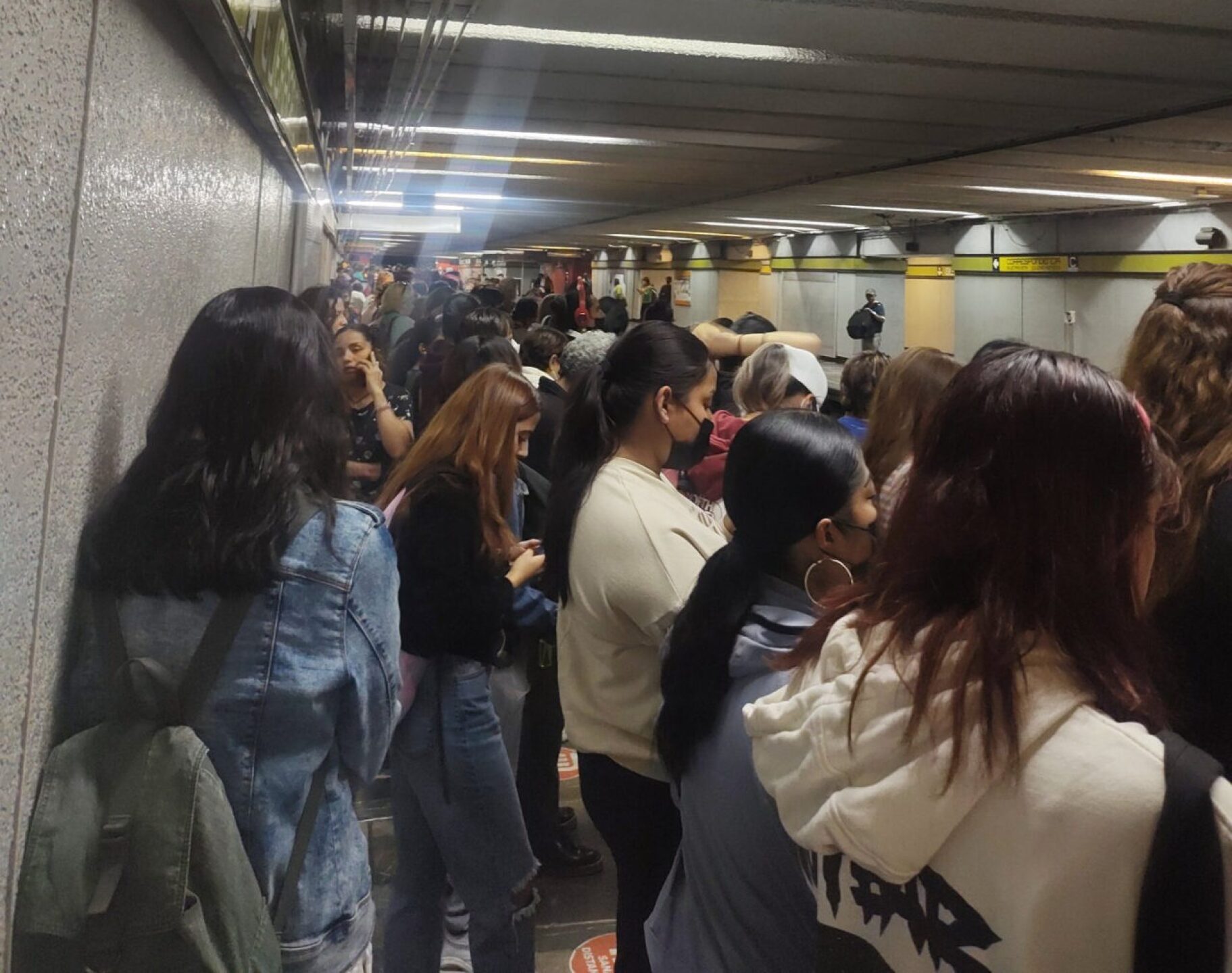 afluencia-metro-l3-1280x1011